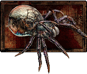   (Corrupted Spider)