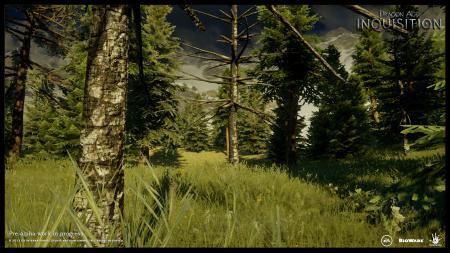 dragon_age_inquisition_trees.jpg